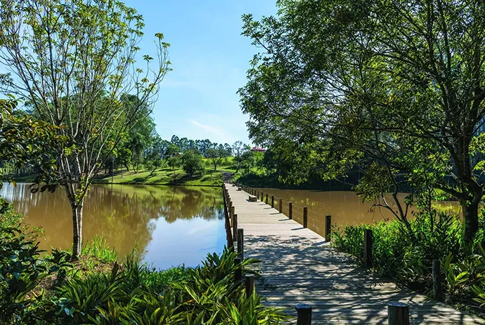 Trilhas ecológicas na área verde preservada